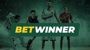 Everything You Need to Know About Betwinner 1171741672