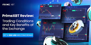 Understanding PrimeXBT Spot Trading A Comprehensive Guide -674529530 Understanding PrimeXBT Spot Trading A Comprehensive Guide -674529530